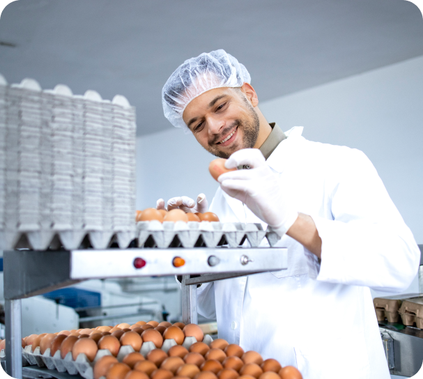 Food & Beverages service